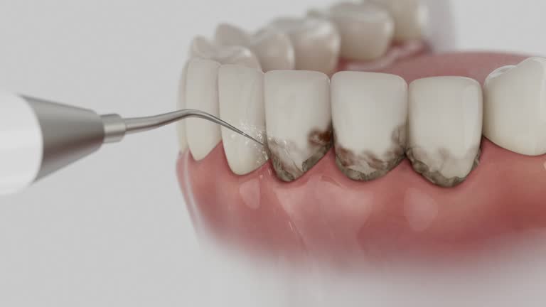 Reliable Dental contractor in Cranston, RI by Dentist Open Now